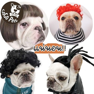 วิกผมตลก สําหรับสัตว์เลี้ยง สุนัข แมว