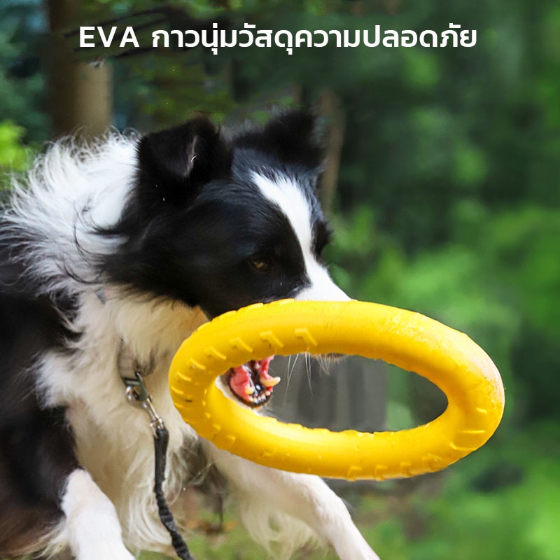 COD ของเล่นหมา จานร่อน ของเล่นลูกบอล แบบโต้ตอบ ความเหนียวสูง ทนทาน สําหรับฝึกสัตว์เลี้ยง สุนัข