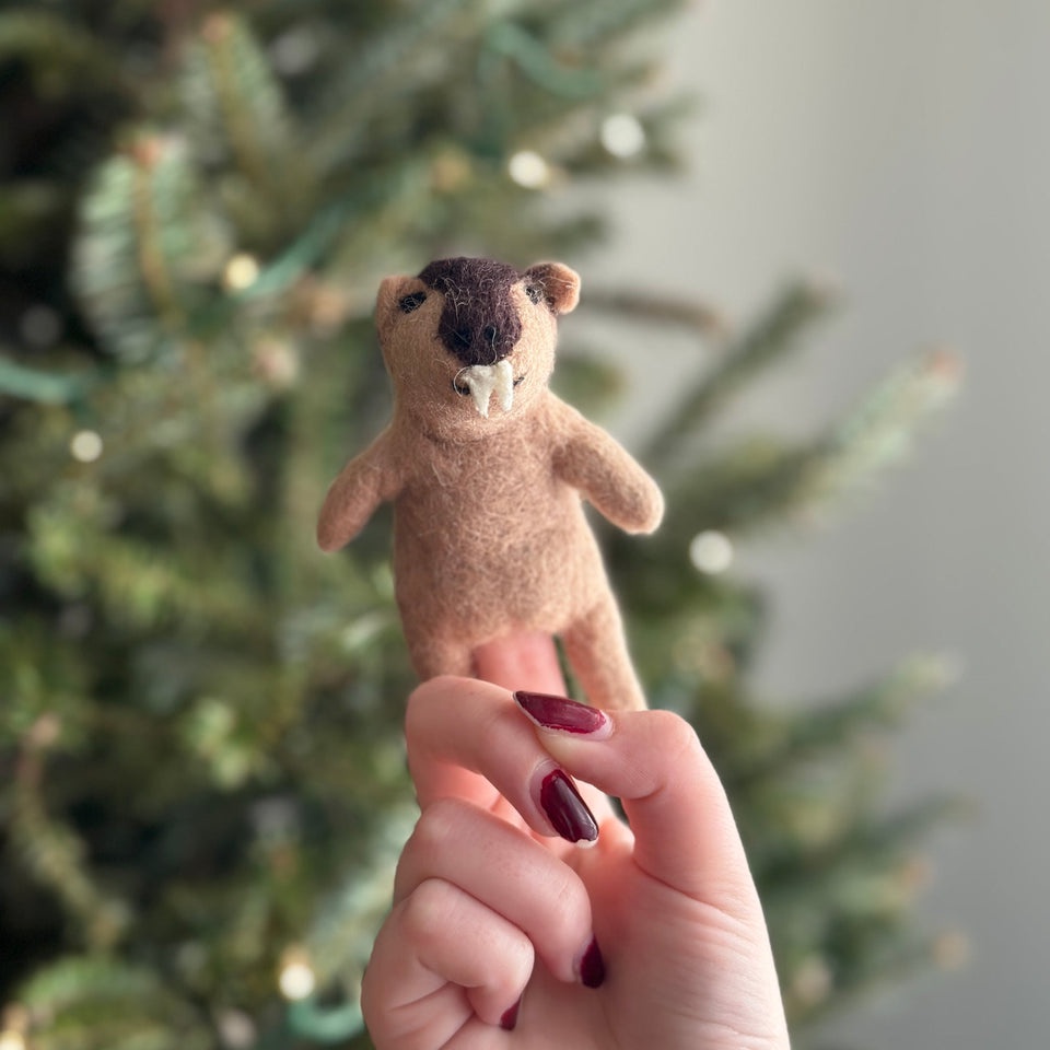 【งานเฟลท์】ตุ๊กตาหุ่นนิ้วมือใยขนแกะ วอมแบท / Wombat Finger Puppet