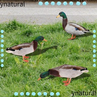 Ynatural รูปปั้นเป็ดอะคริลิค สองด้าน สําหรับตกแต่งสวน กลางแจ้ง