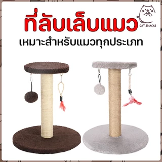ฝนเล็บแมว คอนโดแมวราคาถูก คอนโดแมว ที่ลับเล็บแมว ที่ฝนเล็บแมว ลับเล็บแมว คอนโดแมวเล็ก ของเล่นแมว