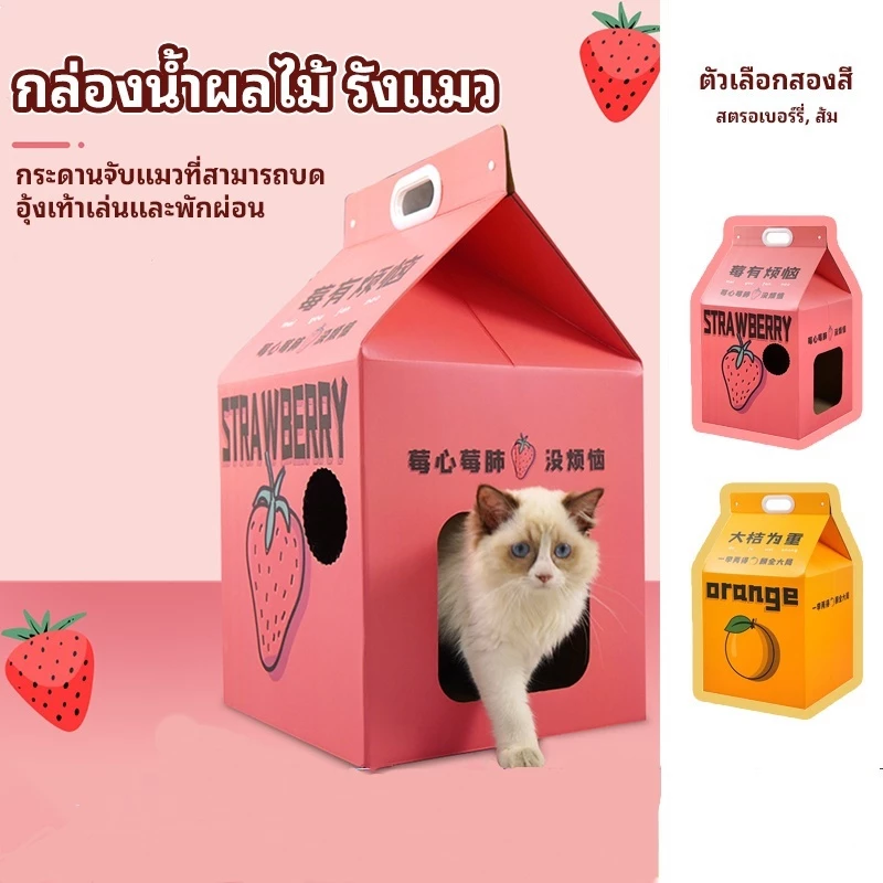 บ้านแมวพร้อมแผ่นลับเล็บและที่นอนแมว