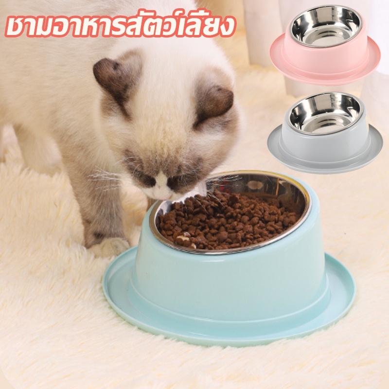 พร้อมส่ง ชามอาหารสัตว์เลี้ยง มาพร้อมชามแสตนเลส ชามกันมด 15 องศา ถอดล้างได้