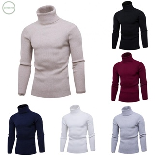GORGEOUS~Trendy Mens Solid Color Knitted Turtleneck Sweater Long Sleeve Jumper