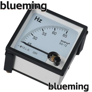 Blueming2 เครื่องวัดความถี่ 45-65Hz 220V ทองแดง และพลาสติก