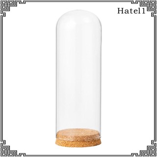 [Hatel] โหลแก้วใส ทรงโดม พร้อมฐานไม้ สําหรับตกแต่งปาร์ตี้ ออฟฟิศ