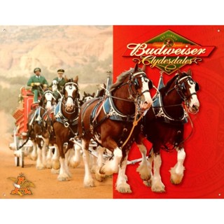 ป้ายดีบุก Budweiser Clydesdales ขนาด 20x30 ซม.