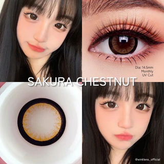 💋 มีค่าสายตา 💋 Wink sakura Gray Brown 💋 บิ๊กอาย รายเดือน มีอย แถมตลับฟรี กรองแสง มีอย. เลนส์นิ่ม สวยปังมาก ตาโต Tiktok