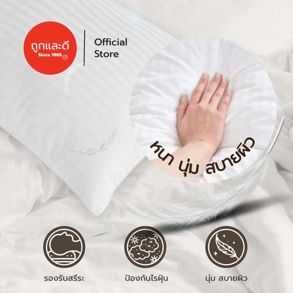 สบายคอ Took Lae Dee หมอนบอดี้ รุ่น Panter  หนา นุ่ม สบายผิว