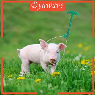 [Dynwave] ชุดเชือกจับหมู สําหรับงานหนัก