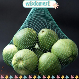 Wisdomest ถุงตาข่ายไนล่อน แบบหนา ปรับขนาดได้ ใช้ซ้ําได้ สําหรับใส่ผัก ผลไม้ ซูเปอร์มาร์เก็ต 100 ชิ้น