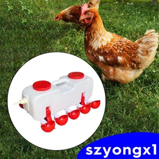 [Szyongx1] ถ้วยให้อาหารไก่ สําหรับนกกระทา ไก่