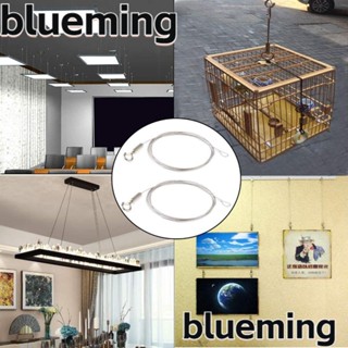 Blueming2 สายลวดแขวนรูปภาพ กันสนิม ปรับได้ อเนกประสงค์ พร้อมตะขอ 2 ชิ้น