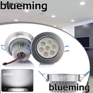 Blueming2 หลอดไฟ LED ดาวน์ไลท์ ปรับได้ สําหรับติดเพดาน ตู้ บ้าน