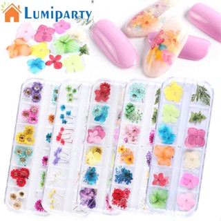 Lumiparty เคสโทรศัพท์มือถือเรซิ่น ลายดอกไม้แห้ง 3D 12 สี สําหรับตกแต่งเล็บ Diy