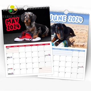 Tarsureth 2024 ปฏิทินแขวนผนัง ลาย Cheeky Dachshunds แฟชั่น สําหรับตกแต่งผนัง