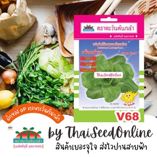 ADV ซฟ เมล็ดพันธุ์ บัตเตอร์เฮด กรีนเฟรช ตราตะวันต้นกล้า V8