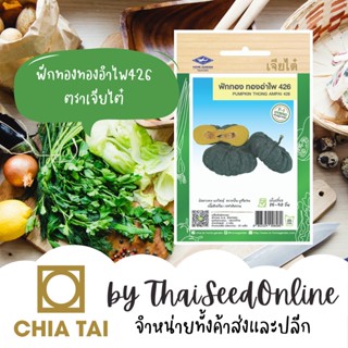 CTF1 เมล็ดพันธุ์ ฟักทอง ทองอำไพ 426 ตราเจียไต๋ Pumpkin