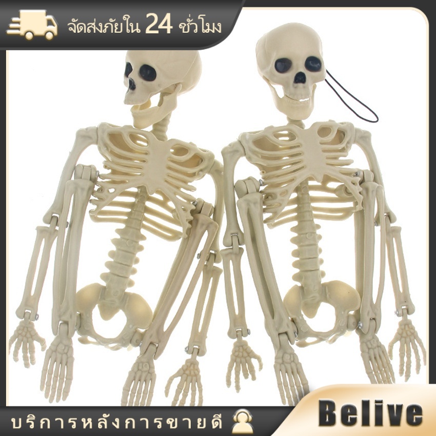 ส่งจากกทม！โครงกระดูก โมเดลโครงกระดูก สําหรับฮาโลวีน ตกแต่ง