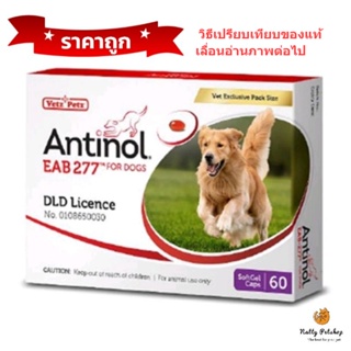 Antinol สุนัข อาหารเสริมบำรุงข้อ ลดอักเสบ EXP 9/2024