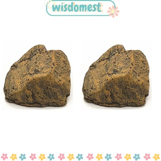 Wisdomest กล่องเก็บกุญแจ 2 ชิ้น รูปหินเรซิ่น ซ่อนกุญแจ แบตเตอรี่ปลอม สีน้ําตาล กล่องยาในร่ม