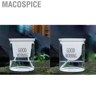 Macospice Flower Pot Indoor Self Absorbed Watering Planter Transparent Container for Office Home