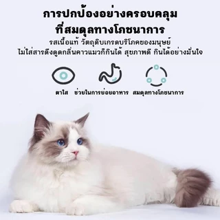 【10pcs ถูกกว่า】ขนมแมวนำเข้า พร้อมส่ง!!ขนมแมวเลีย​ ไม่แต่งกลิ่น อร่อยมากเจ้าเหมียวชอบ ขนมแมวนำเข้า ขนมแมว cat snack stic
