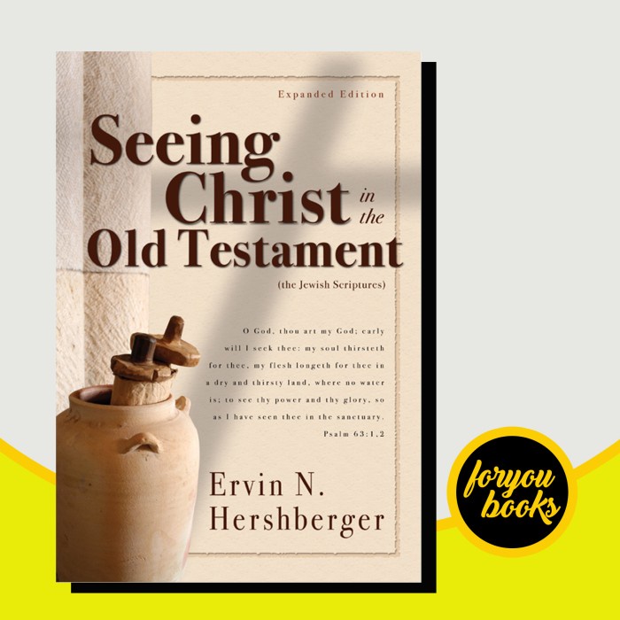 Seeing Christ in the Old Testament Ervin N. เฮชเบิร์ก [เฮอร์เบอร์เกอร์, (หนังสือ)