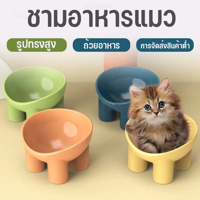 ชามอาหารสัตว์เลี้ยง ชามอาหารแมว