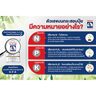 ปุ๋ยเกร็ด 0-52-34 ปุ๋ยไข่มุก ช่วยเปิดตาดอก ยับยั้งการแตกใบอ่อน กดยอด สะสมอาหาร ช่วยในการติดผล (แบ่งขาย)