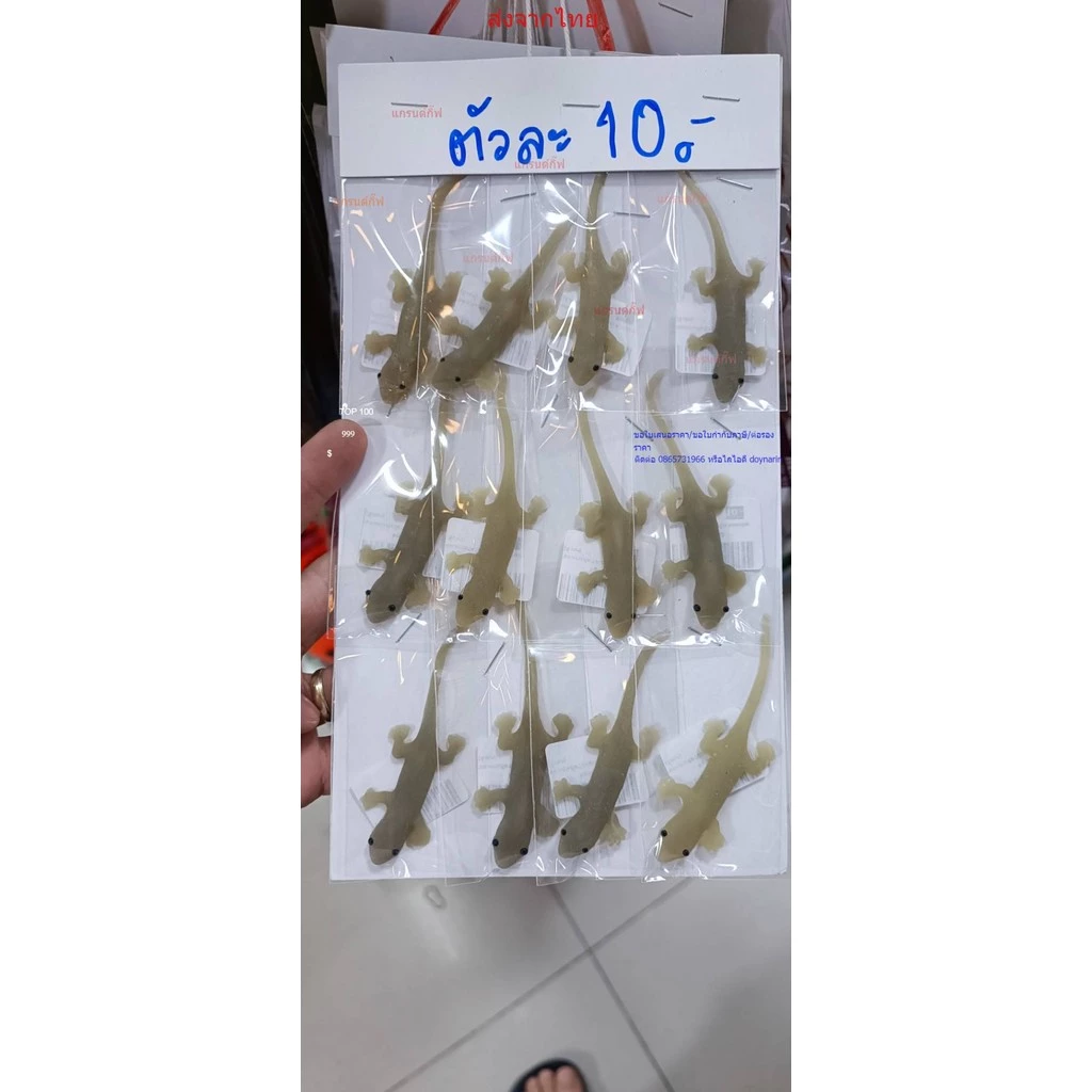 ของเล่นแมว จิ้งจกปลอม ตุ๊กแกปลอม หนูปลอม แมลงสาบ อุนจิ อึ หนอนปลอม ตะขาบ ของเล่นแกล้งคน ของเล่นหมา ยางพารา เหมือนมาก thumbnail 8