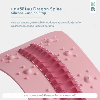 SOMDUL แผ่นดัดหลังสแตนดาร์ด รุ่น MS แผ่นดัดหลังปรับสรีระ ปรับระดับได้