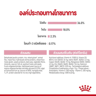 Royal Canin Kitten อาหารเม็ด สำหรับแม่แมวและลูกแมว ขนาด 4 Kg