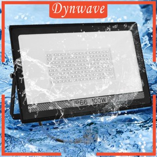 [Dynwave] โคมไฟฟลัดไลท์ LED 100W สําหรับตกแต่งสวน สนามเด็กเล่น ในร่ม กลางแจ้ง