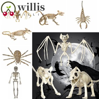 Willis โมเดลโครงกระดูกมนุษย์ ค้างคาว และแมงป่อง พลาสติก ทนทาน สําหรับฮาโลวีน