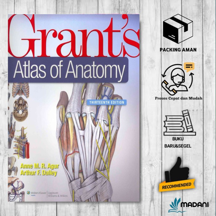 Grant's Atlas of Anatomy รุ่น 13