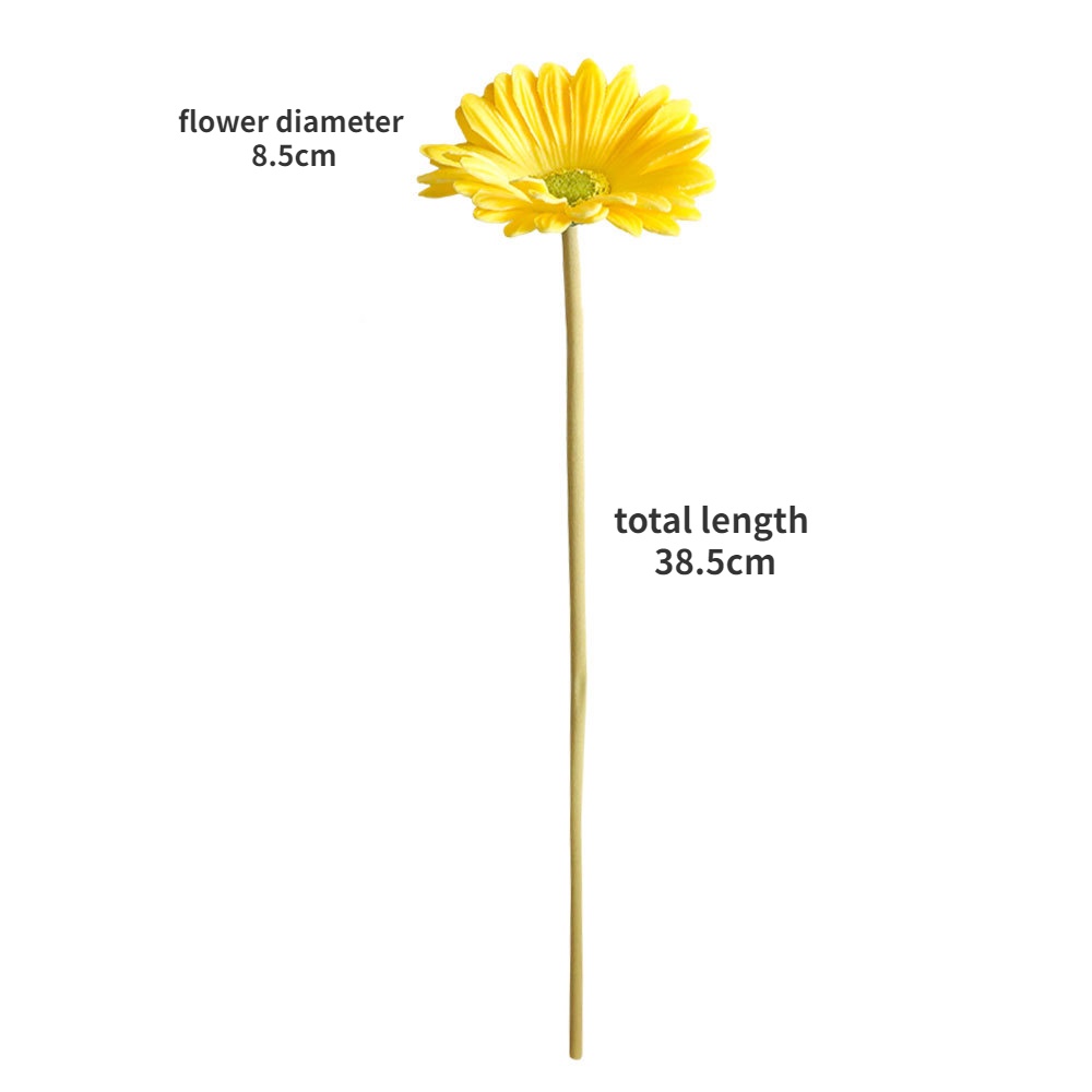 รูปภาพ 2