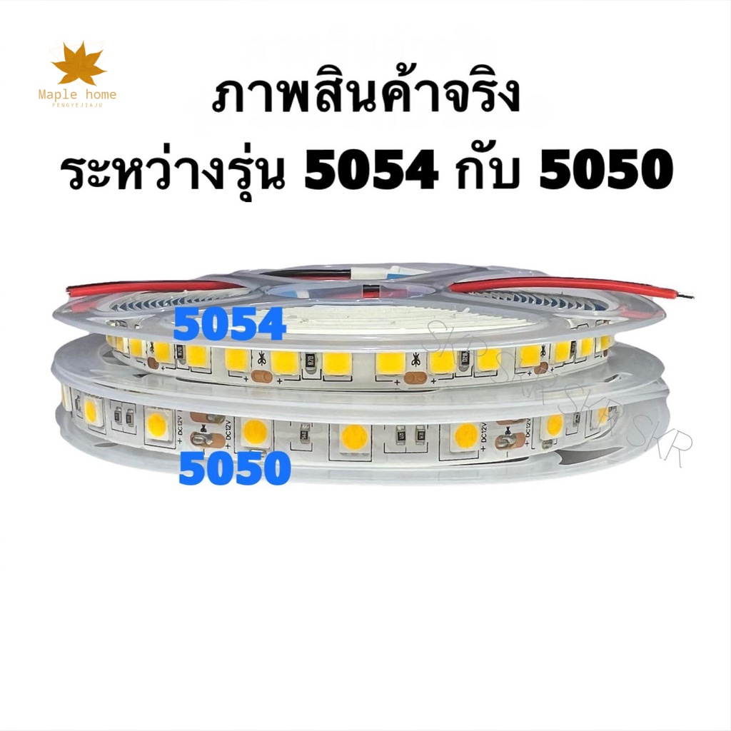 New ♞,♘IWACHI ไฟริบบิ้น LED 5054 12V 5เมตร DC12V แสงเดย์ไลท์ แสงวอร์มไวท์ ไฟริบบิ้น LED 5054 หลอดไฟ