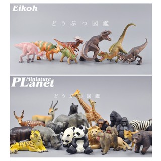 [ลดราคา] Eikoh โมเดลสัตว์จําลอง ไดโนเสาร์ ไทแรนโนซอรัส เร็กซ์ สเตโกซอรัส เวโลซิแรปเตอร์ W