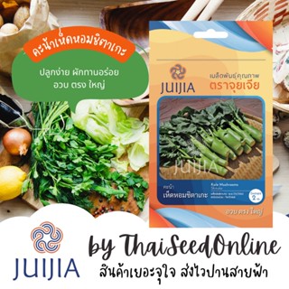 JJ เมล็ดพันธุ์ จุยเจีย คะน้าเห็ดหอมชิตาเกะ Mushroom Kale