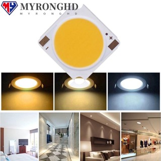 Myronghd ไดโอดเปล่งแสง 12W 18W 24W 30W 36W 42W 48W ชิปไฟ LED COB 19*19 มม. อุปกรณ์เสริม สําหรับในร่ม