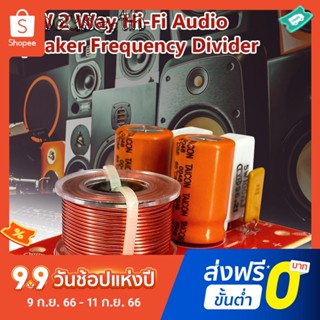 ตัวกรองแยกลําโพง Hi-Fi 80w 2ch