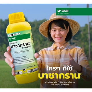 บาซากราน ยากำจัดหญ้า หนวดแมว แห้วหมู ต้นกกทุกชนิด ต้นปรือ ฉีดจี้ข้าวไม่แดงไม่อาน หญ้าตายดีใน 7 วัน