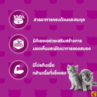 วิสกัส เพาซ์ จูเนียร์ อาหารลูกแมวชนิดเปียก รสปลาทูน่า/ปลาทู 80 ก. แพ็ค 12
