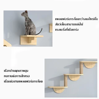  คอนโดแมวติดผนัง คอนโดแมวติดผนัง กล่องแมวติดผนัง โครงปีนแมวแบบแขวนประตู ไม่มีเสี้ยน ไม่มีกลิ่น