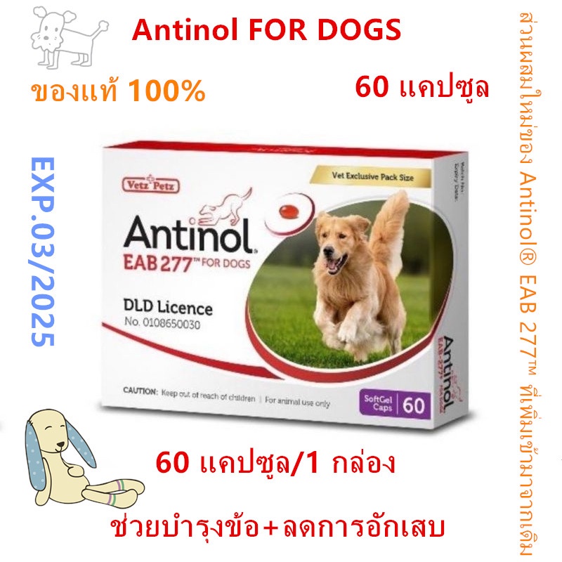 COD Antinol DOG ช่วยบำรุงข้อ กระดูก ขน ผิวหนัง และไต(1 กล่อง 60 caps) สำหรับสัตว์เลี้ยง EXP.03/2025