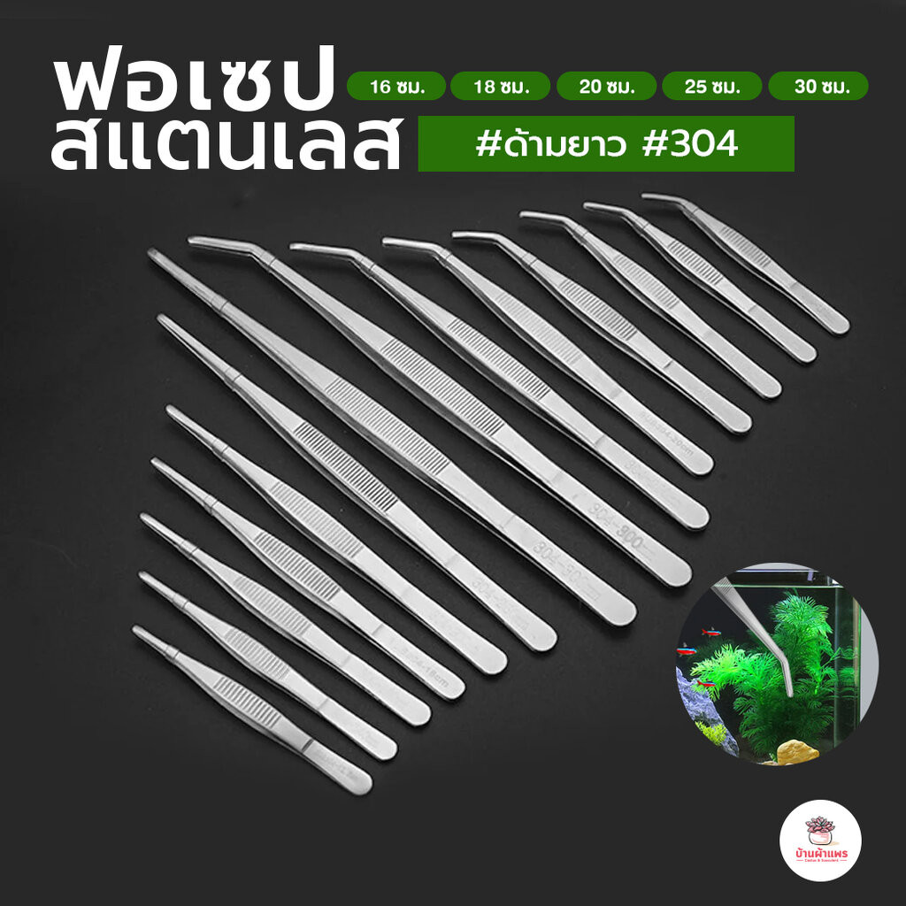 ฟอเซปด้ามยาว ฟอร์เซบสแตนเลส #304 Forcep ฟอเซป ปากคีบ อุปกรณ์ช่วยปลูกต้นไม้ แคคตัส กระบองเพชร cactus&