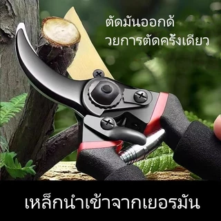 กรรไกรตัดกิ่งเหล็ก/กรรไกรตัดกิ่งต้นไม้ผลไม้/กรรไกรตัดกิ่งองุ่นและดอกไม้ในครัวเรือน/กรรไกรตัดกิ่งต้นไม้ผลไม้