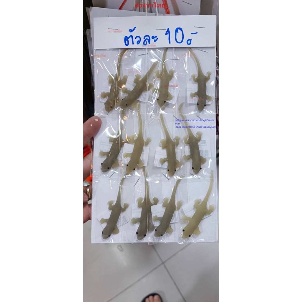 ของเล่นแมว จิ้งจกปลอม ตุ๊กแกปลอม หนูปลอม แมลงสาบ อุนจิ อึ หนอนปลอม ตะขาบ ของเล่นแกล้งคน ของเล่นหมา ยางพารา เหมือนมาก