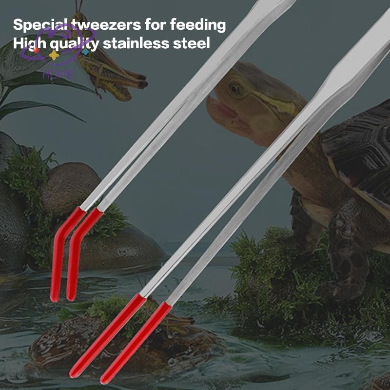 [mayhome] สัตว์เลื้อยคลานสแตนเลสพร้อมปลายยางแหนบให้อาหารแหนบพิพิธภัณฑ์สัตว์น้ําแหนบเครื่องมือทําความสะอาดถังปลางูสิ่งที่ส่งมาอุปกรณ์เสริม {TH} - รูปที่ 2